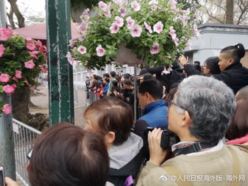  国王的恩赐2英雄头盔怎么获得