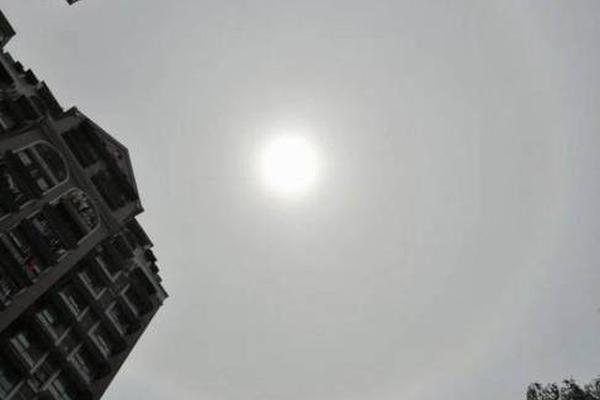 GTFO匕首武器有什么特点
